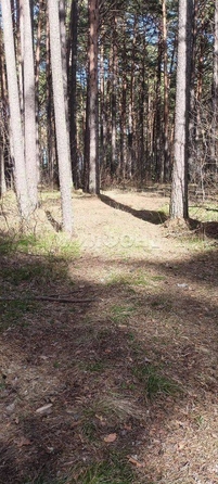 
  Продается 1-комн. квартира, 37 м², Путевая ул, д. 1а
. Фото 2.