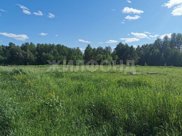 
  Продается земельный участок, 10 соток, село Кафтанчиково
. Фото 3.