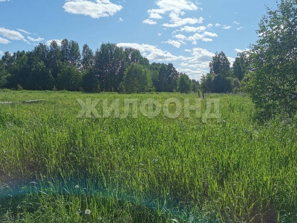 
  Продается земельный участок, 10 соток, село Кафтанчиково
. Фото 4.