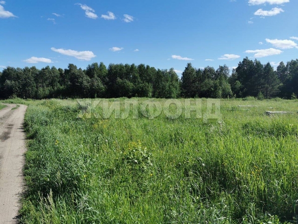 
  Продается земельный участок, 15 соток, село Кафтанчиково
. Фото 1.