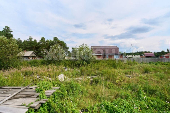 
  Продается земельный участок, 14 соток, деревня Победа
. Фото 4.