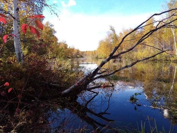 
  Продается дом, 60 м², село Кривошеино
. Фото 11.