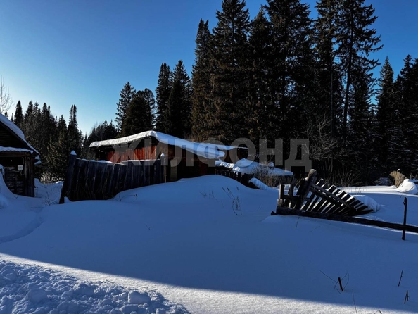 
  Продается земельный участок, 12.7 соток, село Курлек
. Фото 7.