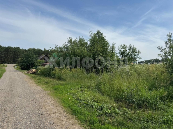 
  Продается земельный участок, 14.94 соток, село Калтай
. Фото 1.