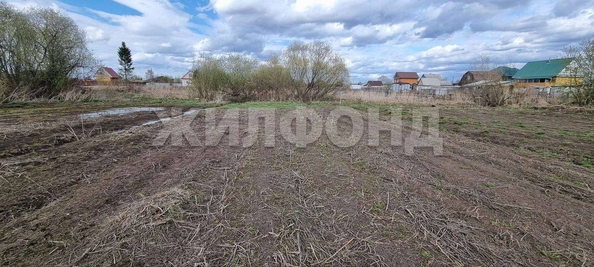 
  Продается земельный участок, 12 соток, деревня Барабинка
. Фото 2.