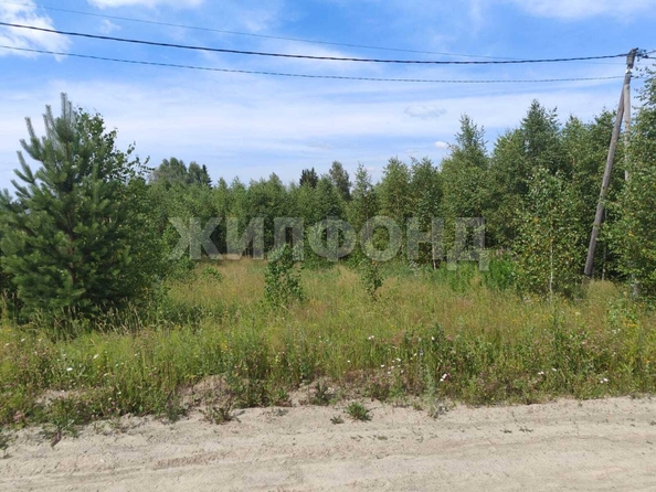 
  Продается земельный участок, 9.89 соток, село Корнилово
. Фото 5.