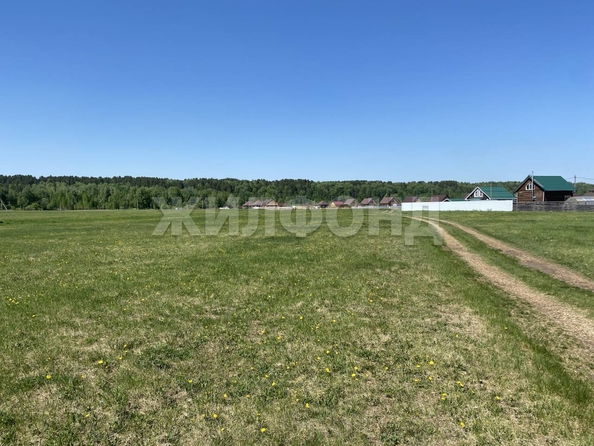 
  Продается земельный участок, 15 соток, село Курлек
. Фото 2.