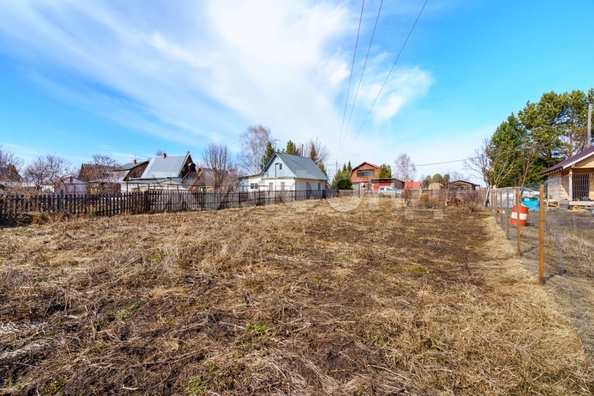 
  Продается земельный участок, 10 соток, деревня Петровский Участок
. Фото 2.