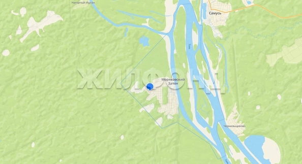 
  Продается земельный участок, 10 соток, село Моряковский Затон
. Фото 5.