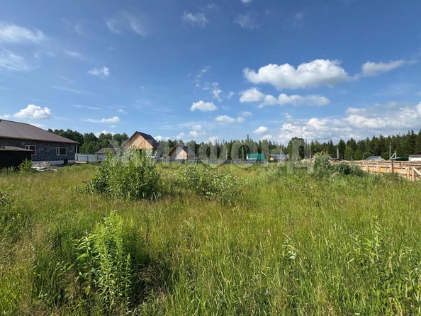 
  Продается земельный участок, 7.25 соток, село Корнилово
. Фото 12.
