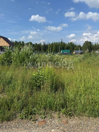 
  Продается земельный участок, 7.25 соток, село Корнилово
. Фото 14.