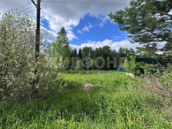 
  Продается земельный участок, 10 соток, село Коларово
. Фото 8.