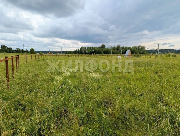 
  Продается земельный участок, 13.5 соток, село Вершинино
. Фото 4.