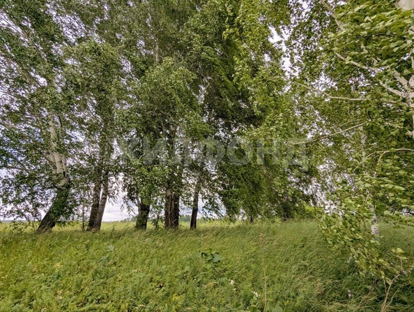 
  Продается земельный участок, 13.5 соток, село Вершинино
. Фото 9.