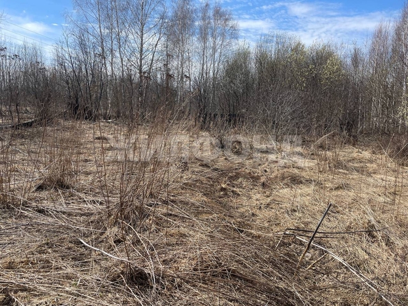 
  Продается земельный участок, 6 соток, Томск
. Фото 6.