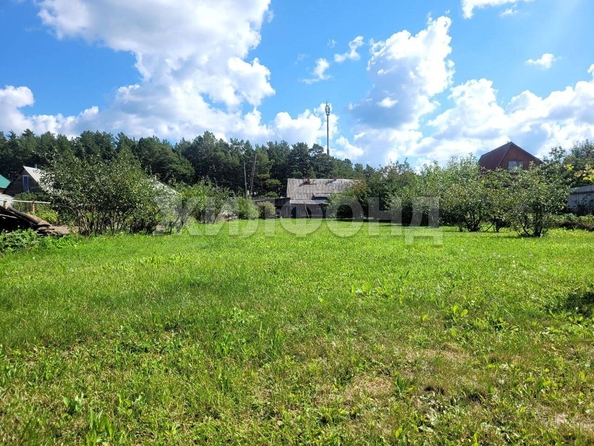 
  Продается земельный участок, 10 соток, деревня Победа
. Фото 18.