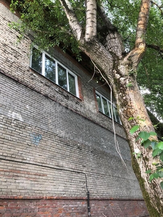 
  Продается универсальное помещение, 232 м², Транспортная ул
. Фото 1.