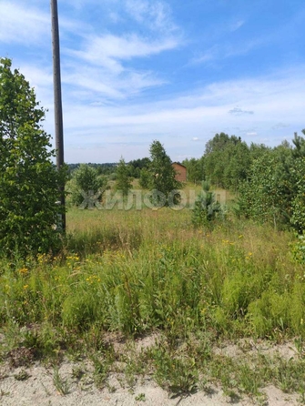 
  Продается земельный участок 9.89 соток. Фото 5.