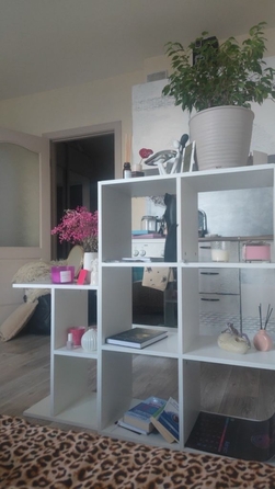
  Продается студия 25 м², в ЖК Радонежский, Береговая дом 25. Фото 3.