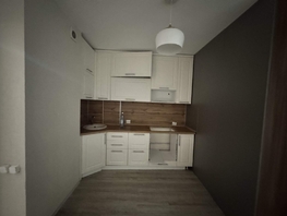 Снять однокомнатную квартиру Соколовская ул, 28 м², 21000 рублей