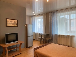 Снять однокомнатную квартиру Красноярский Рабочий пр-кт, 33  м&sup2;, 3780 рублей
