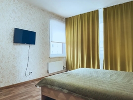 Снять однокомнатную квартиру Светлогорский пер, 36  м&sup2;, 2550 рублей