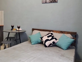 Снять однокомнатную квартиру Свердловская ул, 22  м&sup2;, 2500 рублей