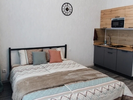 Снять однокомнатную квартиру Лесников ул, 22  м&sup2;, 2630 рублей
