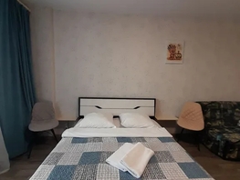 Снять однокомнатную квартиру Светлогорский пер, 39  м&sup2;, 2730 рублей