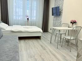 Снять однокомнатную квартиру Карамзина ул, 28  м&sup2;, 3000 рублей