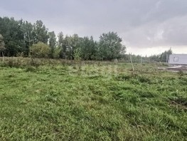 Земельный участок, село Фирсово