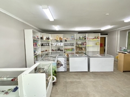 Продается Торговое Жердева ул, 63.3  м&sup2;, 14200000 рублей