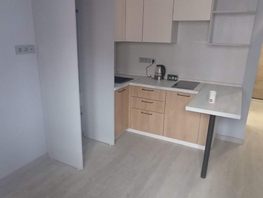 Снять двухкомнатную квартиру Баумана ул, 32.4  м², 25000 рублей