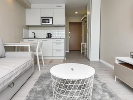 Снять однокомнатную квартиру Пискунова ул, 27  м&sup2;, 3250 рублей