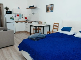 Снять однокомнатную квартиру Археолога Михаила Герасимова пер, 30  м&sup2;, 2500 рублей