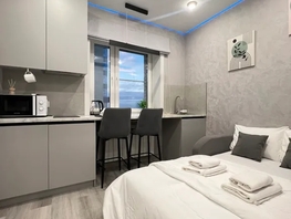 Снять однокомнатную квартиру Якоби ул, 16  м&sup2;, 2499 рублей