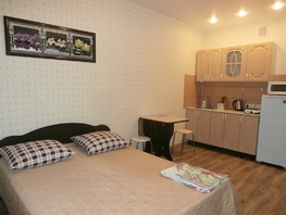 1-комнатная квартира, 24 м², 7/12 этаж