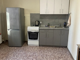 Снять однокомнатную квартиру Пролетарская ул, 33  м&sup2;, 25000 рублей