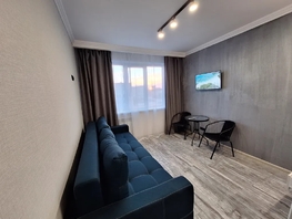 Снять однокомнатную квартиру Ленина пр-кт, 17  м&sup2;, 2000 рублей