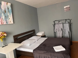 Снять однокомнатную квартиру Н.С.Ермакова  пр-кт, 48  м&sup2;, 2500 рублей