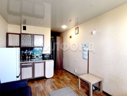 Продается 1-комнатная квартира Виктора Уса ул, 19.7 м², 2500000 рублей