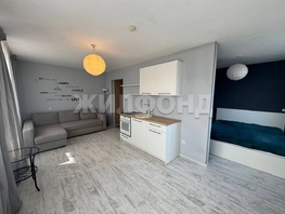 Продается 1-комнатная квартира Спортивная ул, 36  м², 3650000 рублей