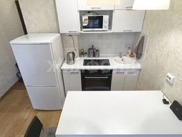 Снять однокомнатную квартиру Виктора Уса ул, 20 м², 22000 рублей