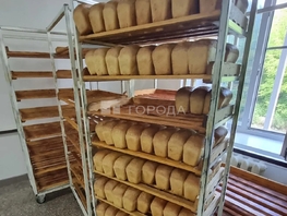 Продается Производственное Пушкина ул, 1400  м&sup2;, 35000000 рублей