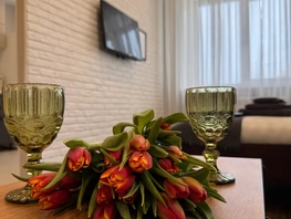 Снять однокомнатную квартиру Дуси Ковальчук ул, 32  м&sup2;, 3100 рублей
