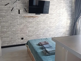 Снять однокомнатную квартиру генерал-майора Рожкина А.Н. ул, 27  м&sup2;, 2450 рублей