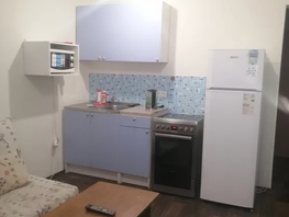 Снять однокомнатную квартиру Рябиновая ул, 27  м&sup2;, 3000 рублей