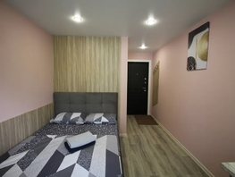 Снять однокомнатную квартиру Карла Маркса пр-кт, 15  м&sup2;, 2762 рублей