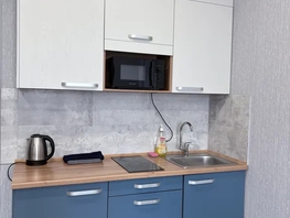 Снять однокомнатную квартиру Большевистская ул, 39  м&sup2;, 4500 рублей