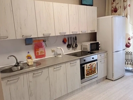 Снять однокомнатную квартиру Николая Сотникова ул, 42  м&sup2;, 2800 рублей